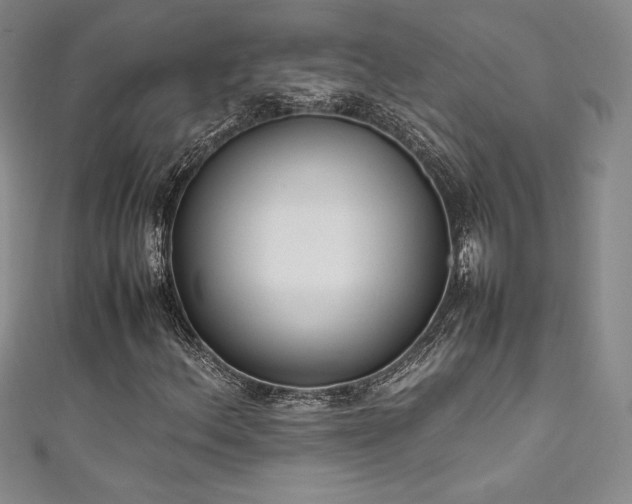 X0000111531156200907141522