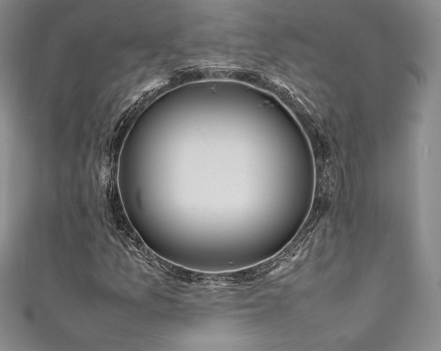 X0000111531157200907141522