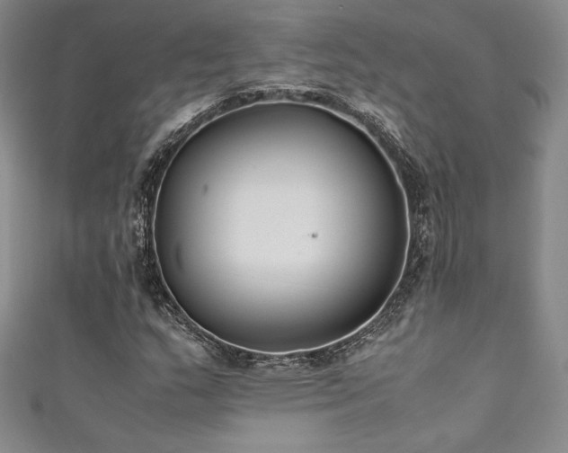 X0000111531159200907141522