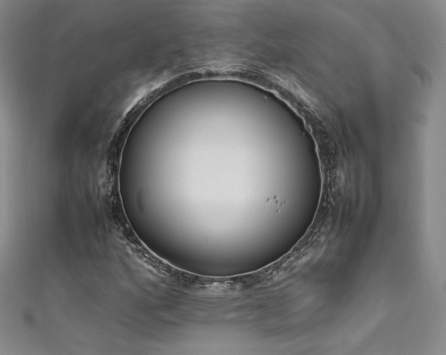 X0000111531160200907141522