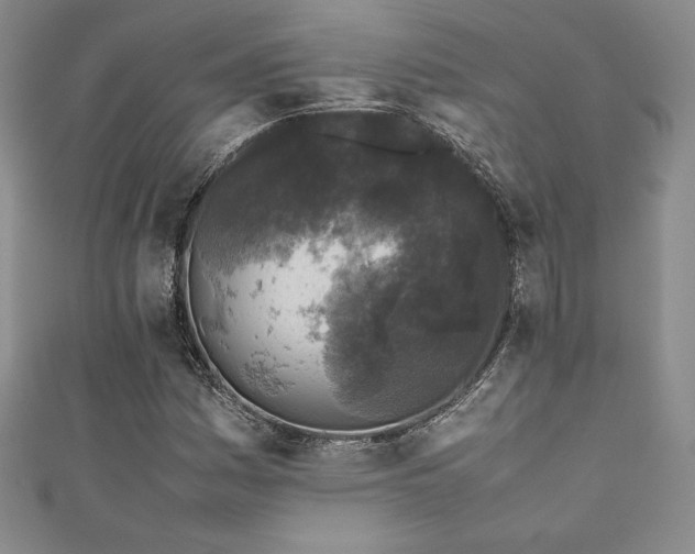 X0000111531161200907141522