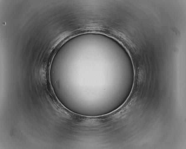 X0000111531162200907141522