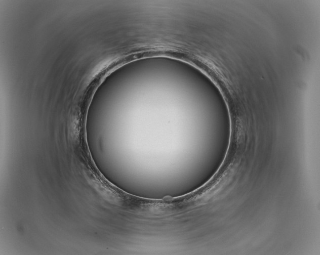 X0000111531163200907141522