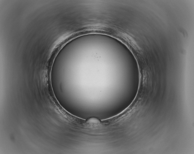 X0000111531164200907141522