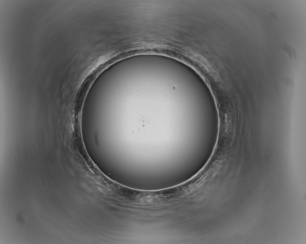 X0000111531165200907141522