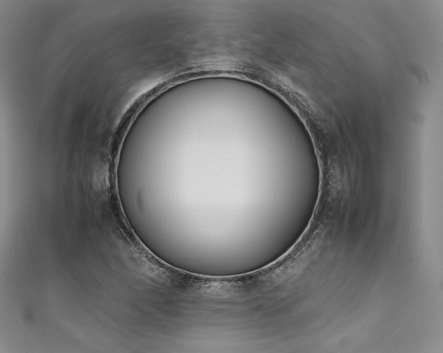 X0000111531166200907141522