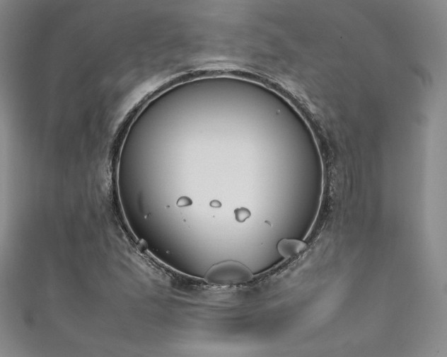 X0000111531167200907141522