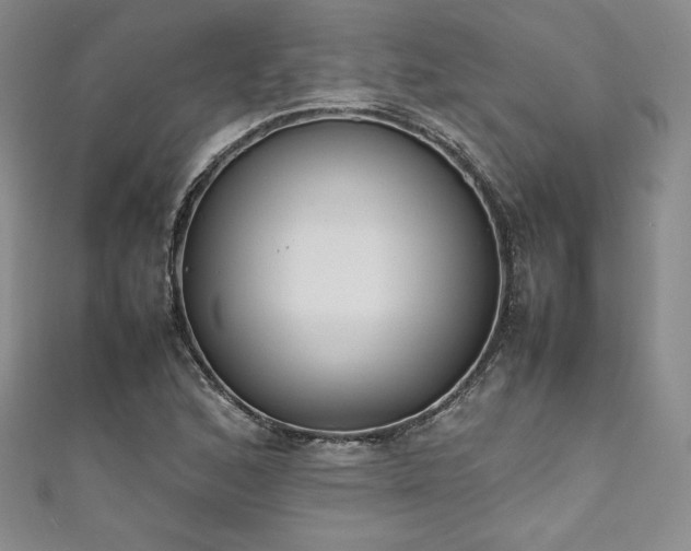 X0000111531168200907141522