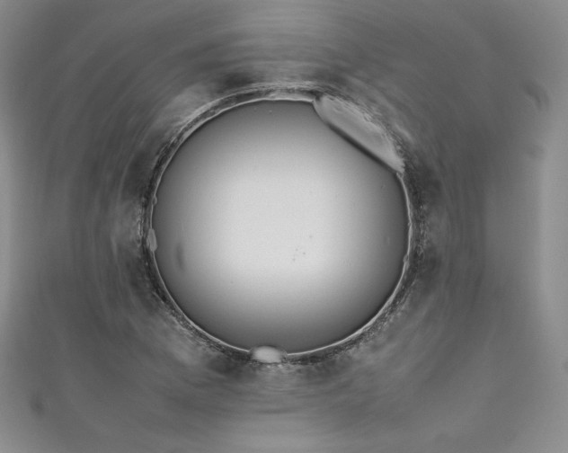 X0000111531169200907141522