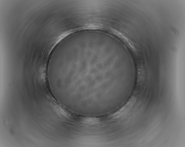 X0000111531170200907141522