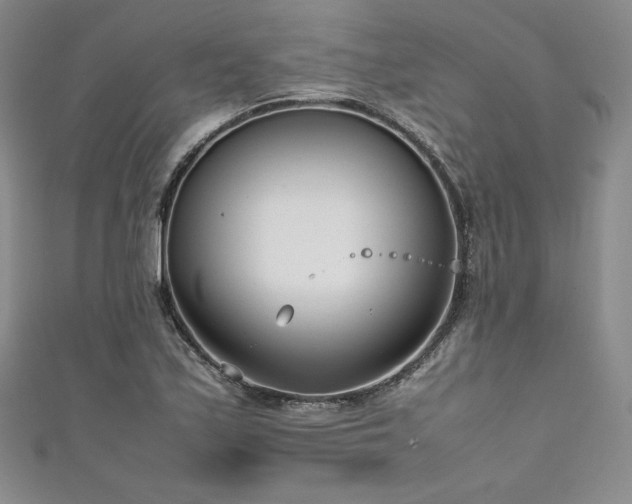 X0000111531171200907141522