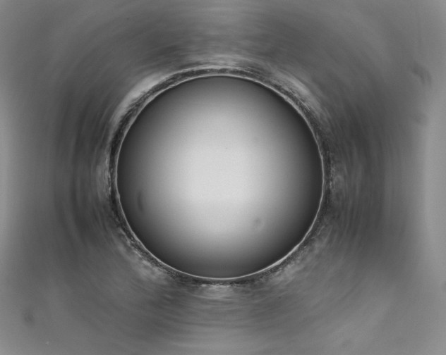 X0000111531172200907141522