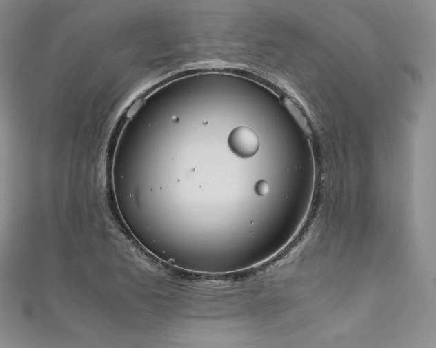 X0000111531173200907141522