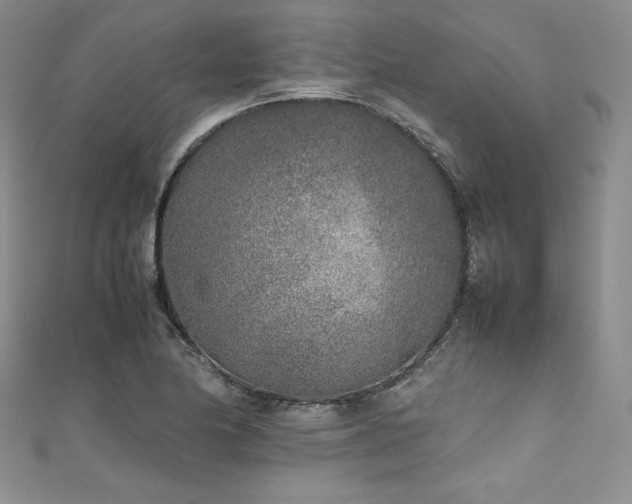 X0000111531174200907141522