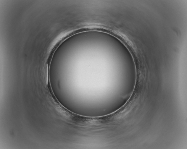 X0000111531175200907141522