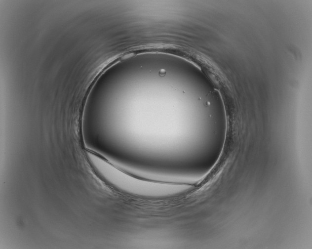 X0000111531177200907141522