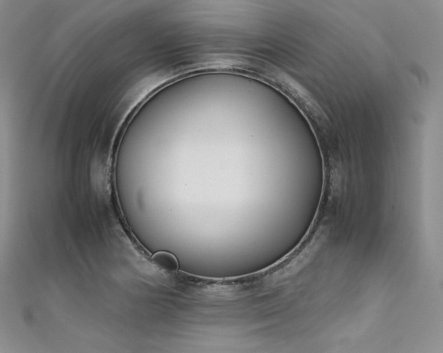 X0000111531178200907141522