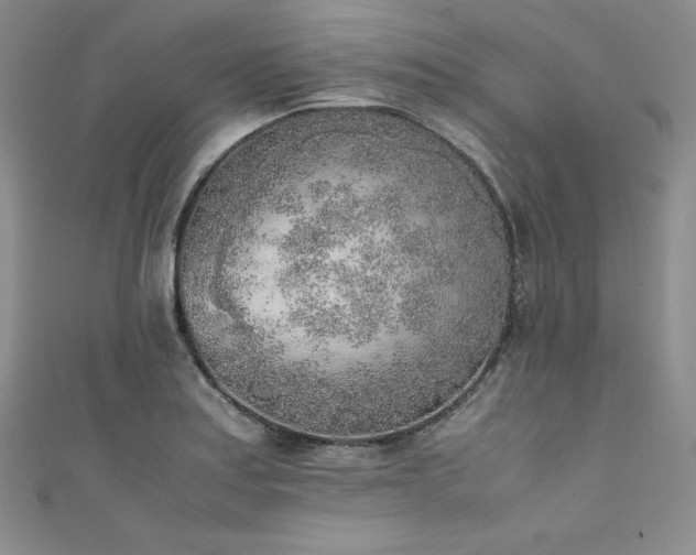 X0000111531179200907141522