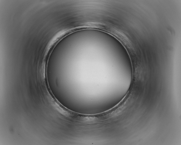 X0000111531180200907141522