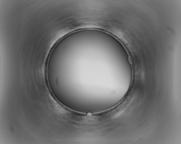 X0000111531181200907141522