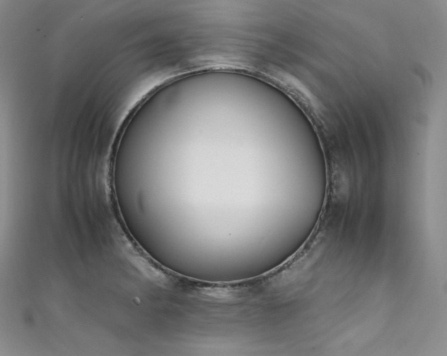 X0000111531182200907141522