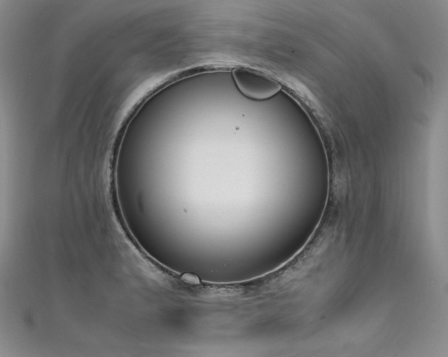 X0000111531183200907141522