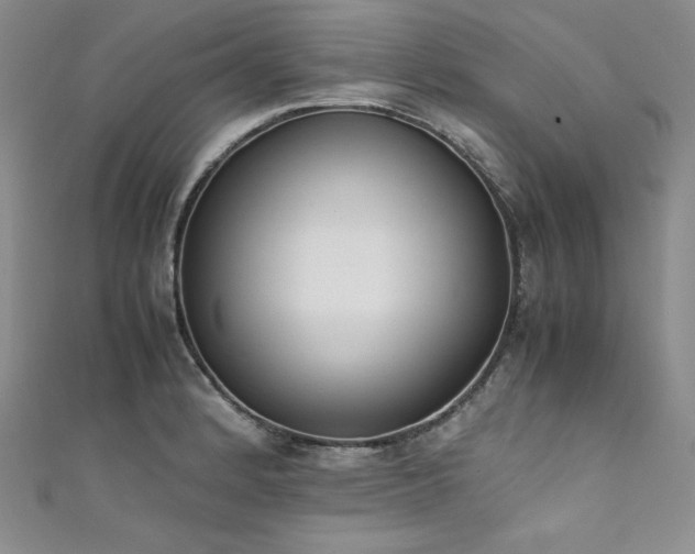 X0000111531184200907141522