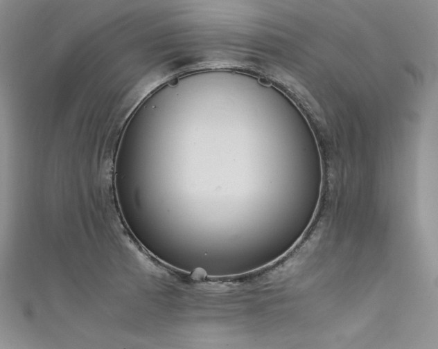 X0000111531185200907141522