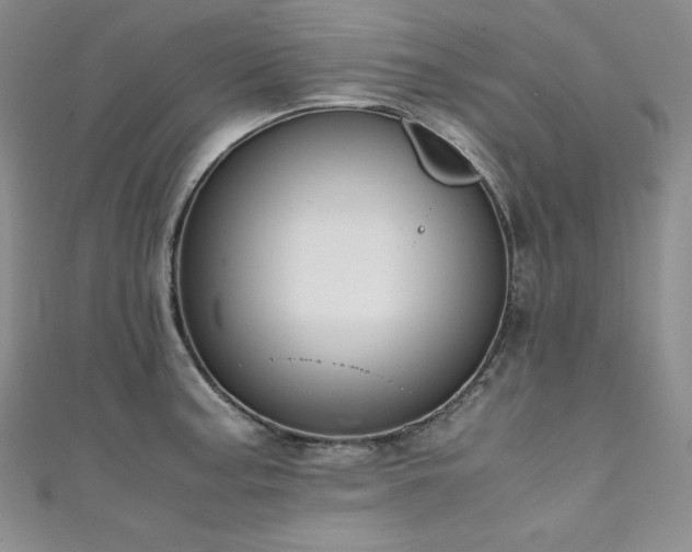 X0000111531187200907141522