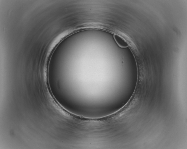 X0000111531188200907141522