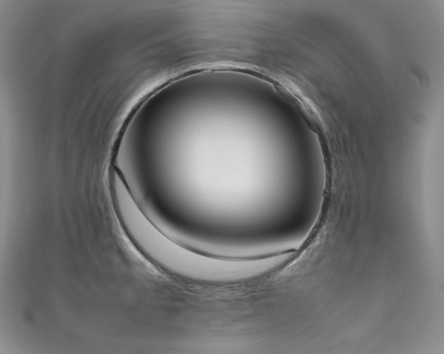 X0000111531189200907141522