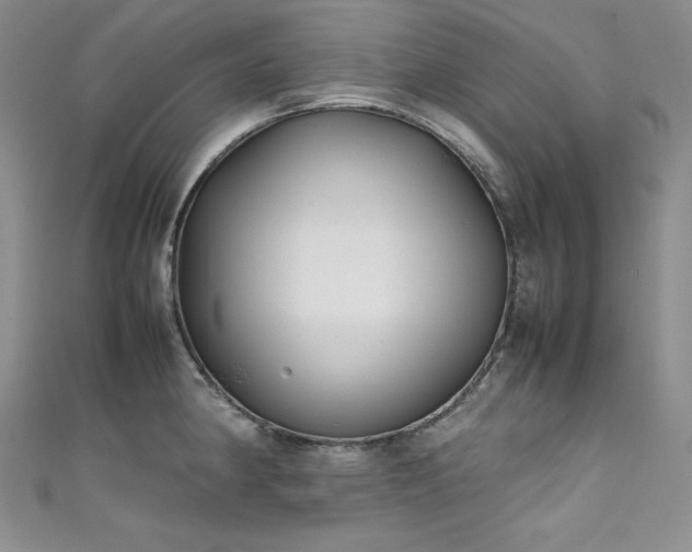 X0000111531190200907141522