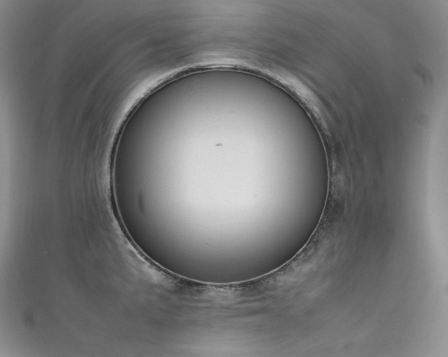 X0000111531191200907141522