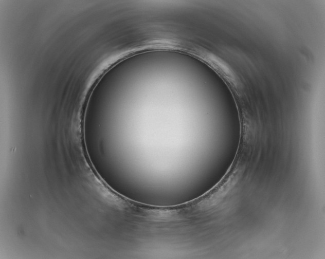 X0000111531192200907141522