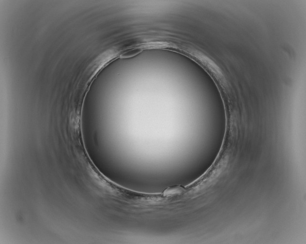 X0000111531193200907141522