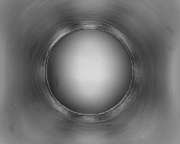 X0000111531194200907141522