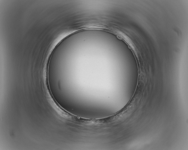 X0000111531195200907141522