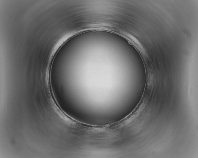 X0000111531196200907141522