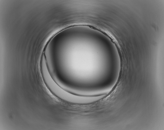 X0000111531197200907141522