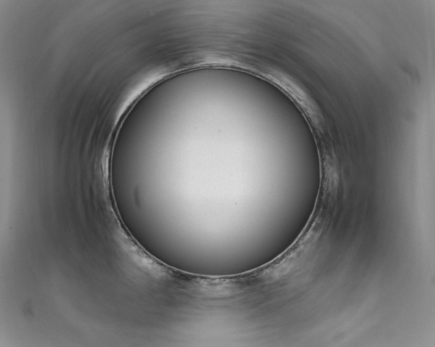 X0000111531198200907141522