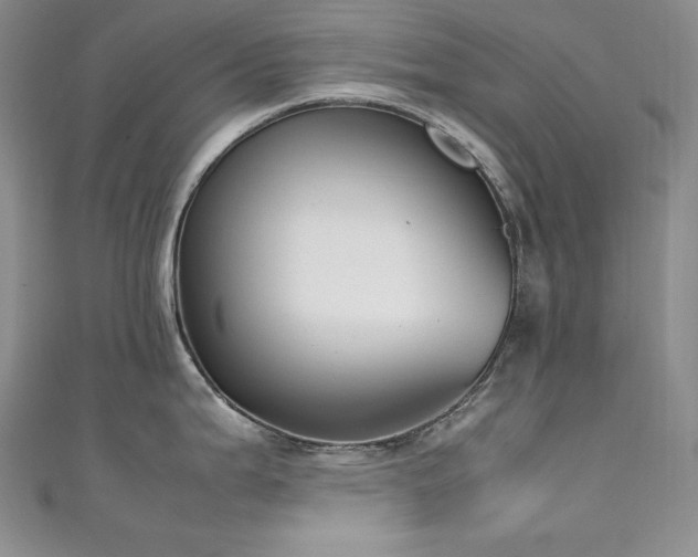 X0000111531199200907141521