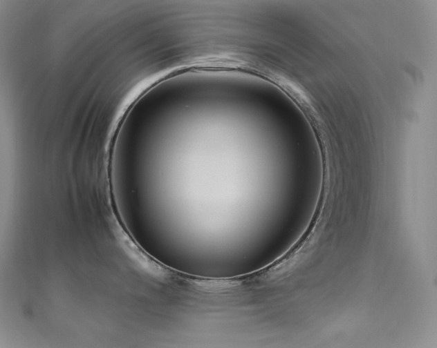 X0000111531200200907141521