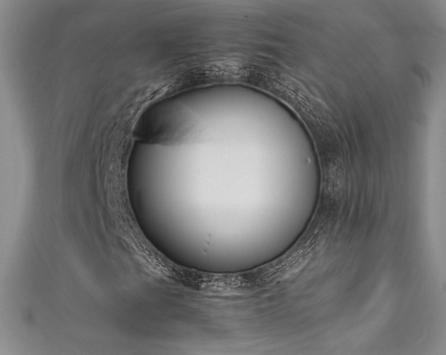 X0000111531201200907141521