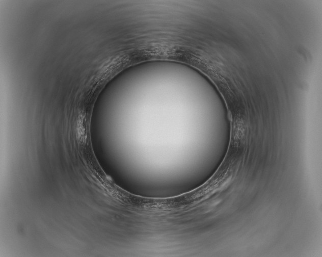 X0000111531202200907141521