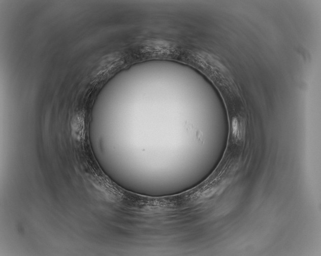 X0000111531203200907141521