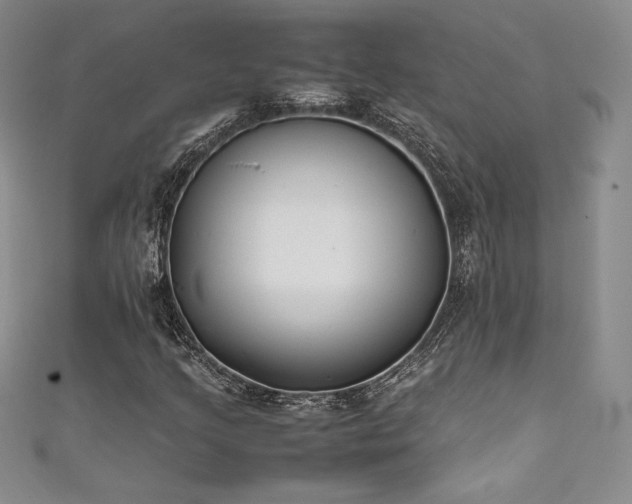 X0000111531205200907141521