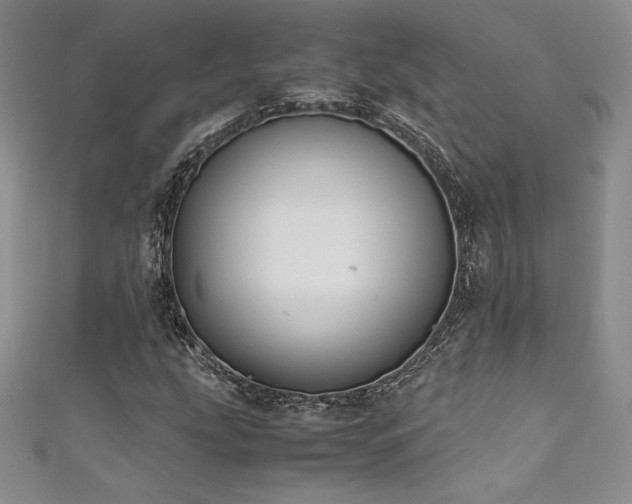 X0000111531207200907141521