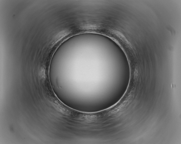 X0000111531209200907141521