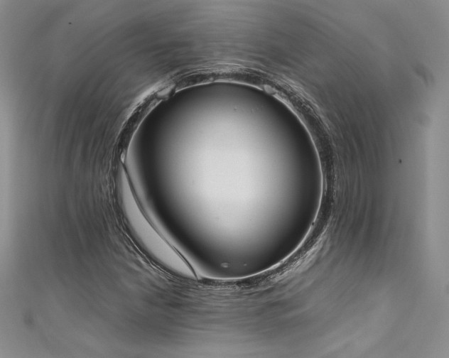 X0000111531210200907141521