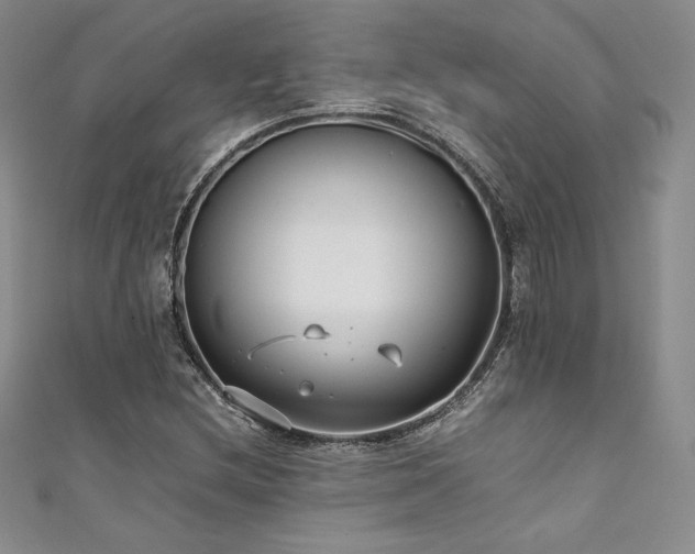 X0000111531212200907141521